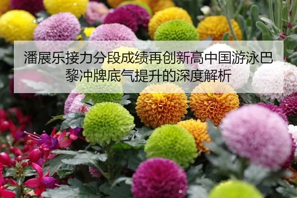 潘展乐接力分段成绩再创新高中国游泳巴黎冲牌底气提升的深度解析