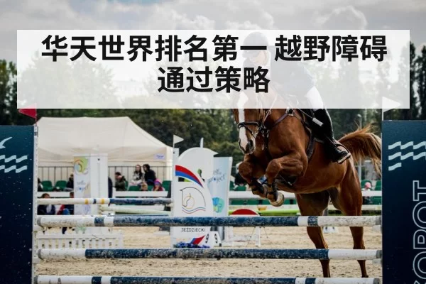 华天世界排名第一 越野障碍通过策略